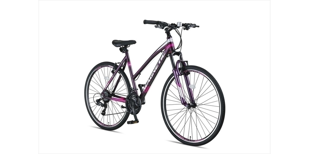 Bicycle Altec Magnetic Trekking 28"/52 cm/Gray-Pink/27605