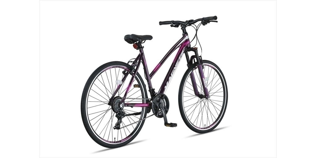 Bicycle Altec Magnetic Trekking 28"/52 cm/Gray-Pink/27605