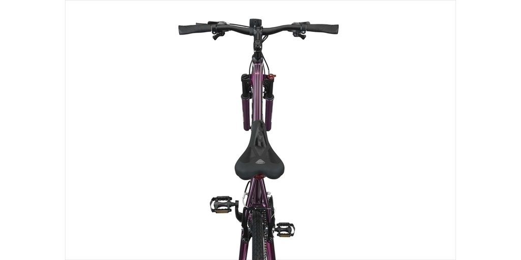 Bicycle Altec Magnetic Trekking 28"/52 cm/Gray-Pink/27605