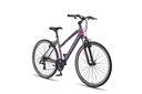 Bicycle Altec Legarda Trekking 28"/49 cm/Anthracite-Pink/28026