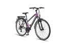 Bicycle Altec Legarda 28"/49 cm/Anthracite-Pink/285062