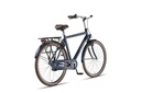 Bicycle Altec Trend 28"/52 cm/Gray/287059