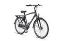 Bicycle Altec Delta + Plus 28"/61 cm/Black matt/287633
