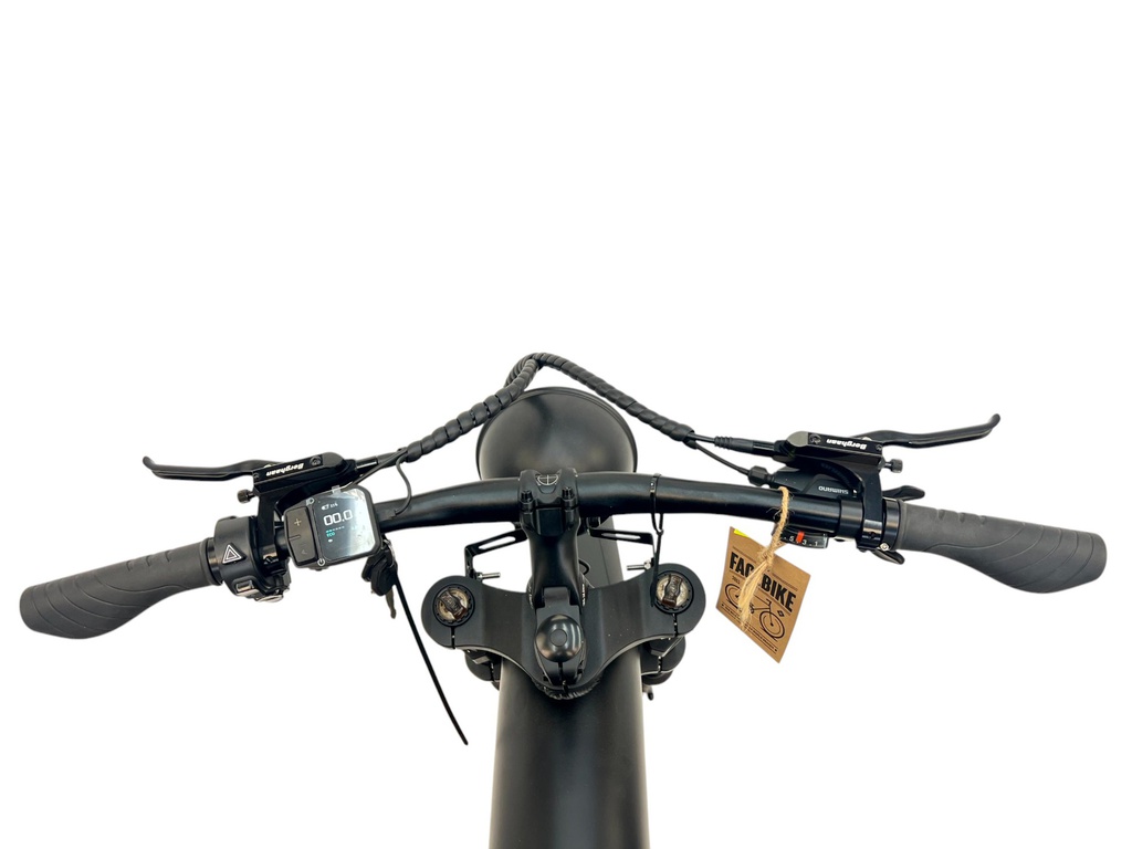 DIABLO E-BIKE, FAT BOY, MATT-BLACK/BLACK, 15,6AH 48V 748,8WH