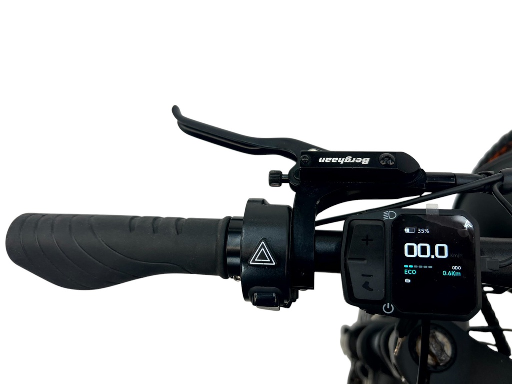 DIABLO E-BIKE, FAT BOY, MATT-BLACK/BLACK, 15,6AH 48V 748,8WH