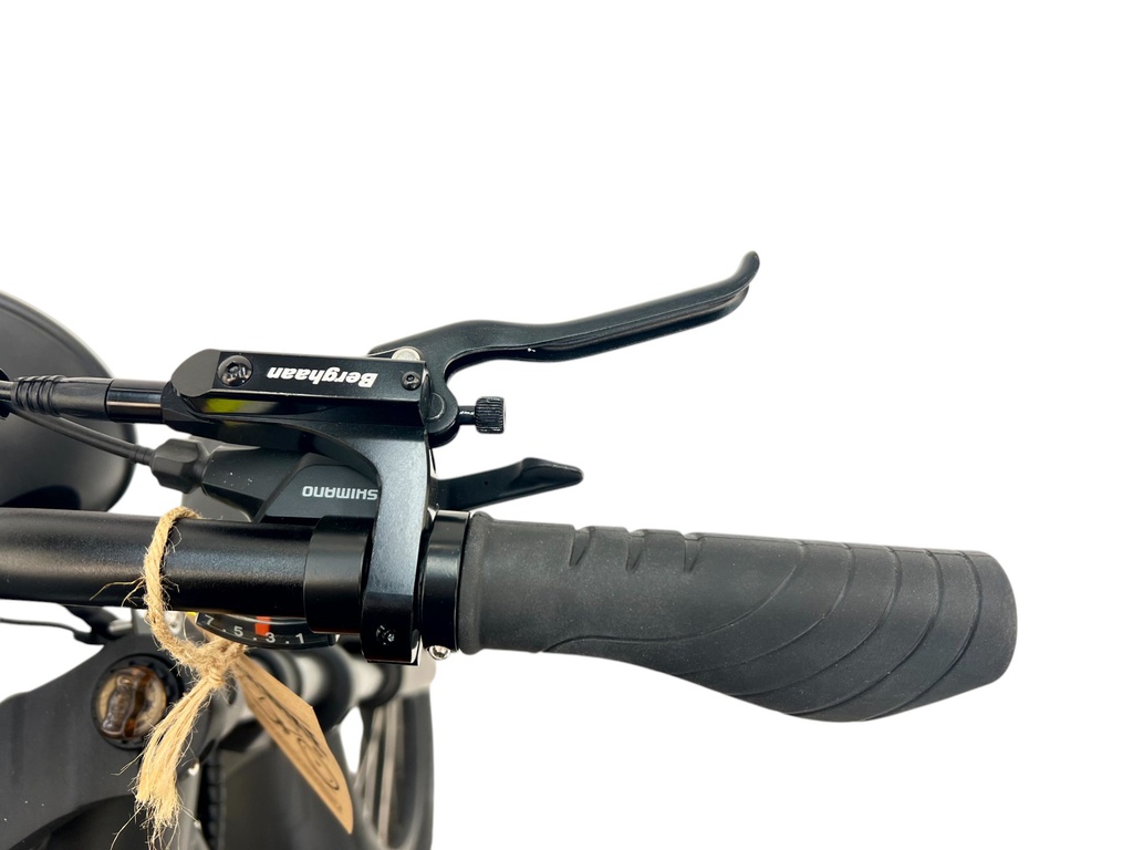 DIABLO E-BIKE, FAT BOY, MATT-BLACK/BLACK, 15,6AH 48V 748,8WH