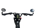 E-BIKE DIABLO BABOON 20" matt black (48V 15Ah 696Wh)