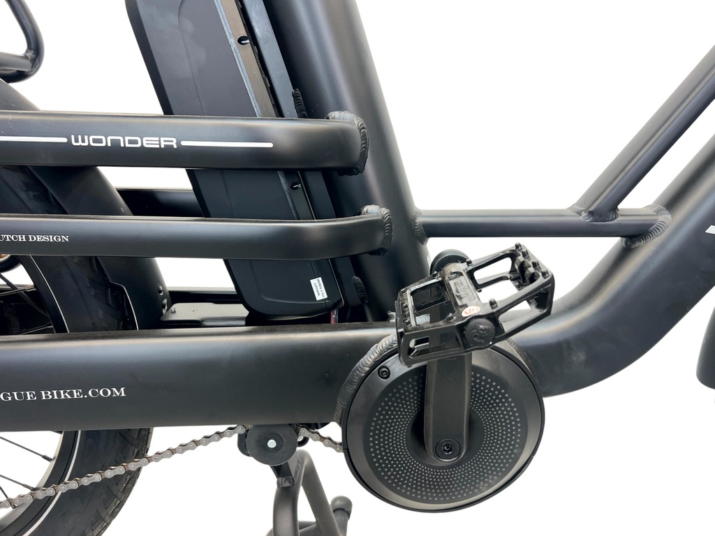 E-BIKE VOGUE WONDER 20"/matt-black/2 accu 9.6AH,12.8AH