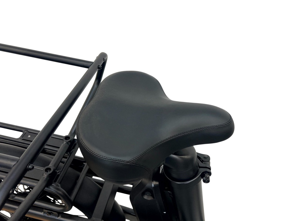 E-BIKE VOGUE WONDER 20"/matt-black/2 accu 9.6AH,12.8AH