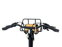 E-BIKE VOGUE WONDER 20"/matt-black/2 accu 9.6AH,12.8AH