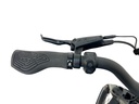 E-BIKE VOGUE WONDER 20"/matt-black/2 accu 9.6AH,12.8AH