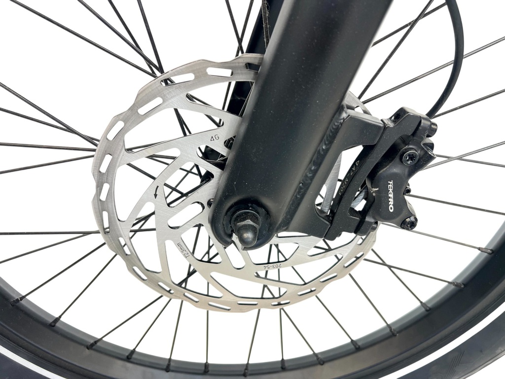 E-BIKE VOGUE WONDER 20"/matt-black/2 accu 9.6AH,12.8AH